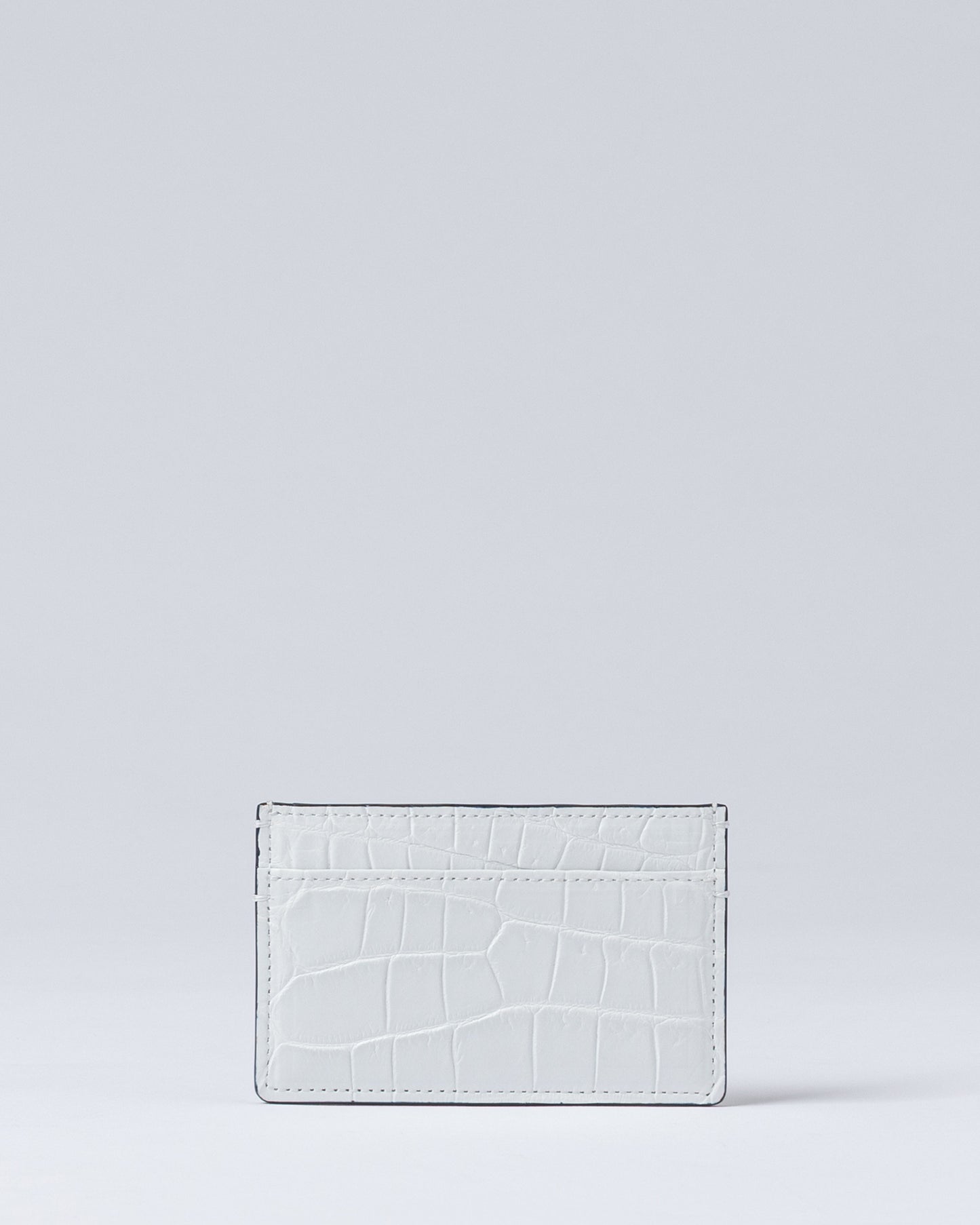 BLUE MOON PASS CASE CBMJ-005-01